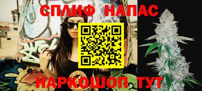 спайс Будённовск