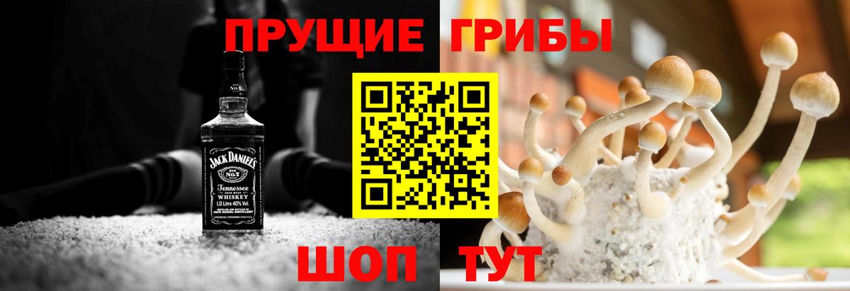 Псилоцибиновые грибы Psilocybine cubensis  Вход с VPN  Мурманск 